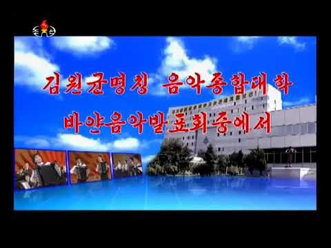 Видео: Играет баянисты Пхеньянский консерватории.Северная Корея