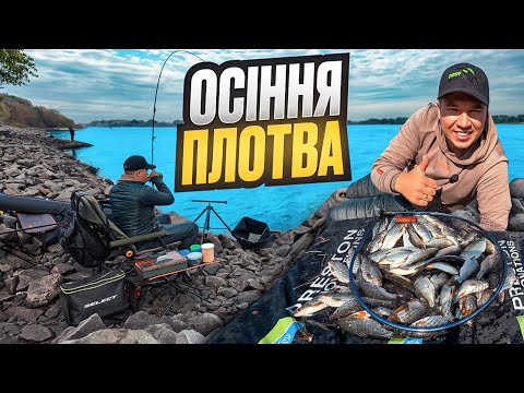 Видео: КЛЮЄ БЕЗ ПЕРЕРВИ‼️ 100 РИБ ЗА 3 ГОДИНИ😱 ОСІННІЙ ФІДЕР по ПЛОТВІ🎣