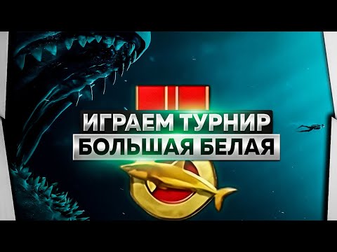 Видео: ⭐СТРИМ РР3 | Турнирный День. Усатый + Белая + Таймень