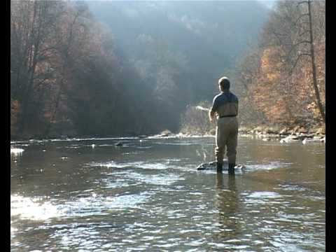 Видео: Нахлыст в действии. Основные нахлыстовые забросы. Радость для души.