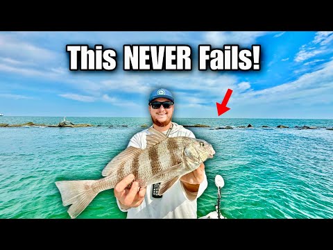 Видео: Донная рыбалка с причала на мёртвых креветок | ЭПИЧЕСКИЙ чёрный бражник поймал и приготовил