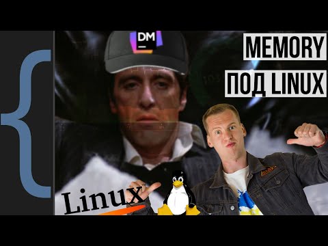 Видео: Профилировка памяти. dotMemory под Linux