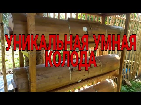 Видео: ЗАСЕЛЕНИЕ УМНОЙ КОЛОДЫ ПЧЁЛАМИ, ИСКУССТВЕННЫЙ РОЙ.
