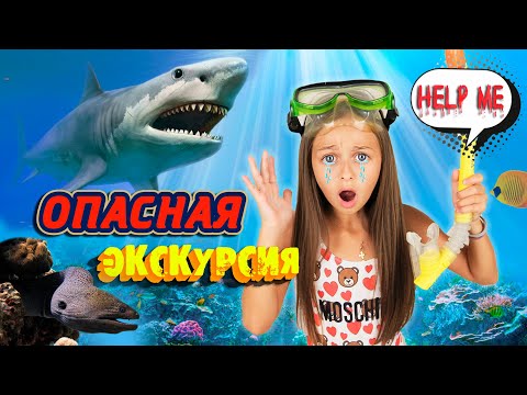 Видео: Купание с МУРЕНОЙ😱 ЭКСТРЕМАЛЬНАЯ ЭКСКУРСИЯ на ЯХТЕ на КОРАЛЛОВЫЙ РИФ! УЛЕТЕЛИ в Египет на КАНИКУЛЫ!