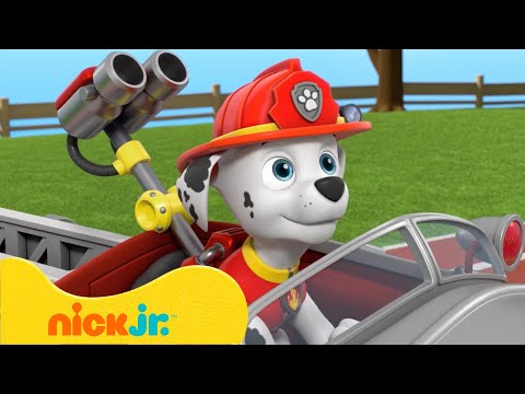 Видео: Щенячий патруль | Лучшие моменты 8 сезона "Щенячий патруль"! 🐶 (Часть 2) | Nick Jr. Cyrillic