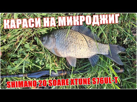 Видео: Караси на микроджиг. Shimano 20 Soare Xtune S76UL-T