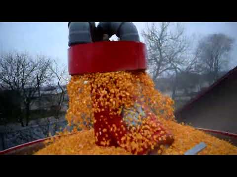 Видео: Сушка кукурудзи, витрата 2-2,5л газу на т/%