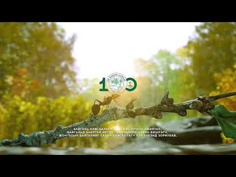 Видео: Ч.Доржсүрэн: Ойн нүүрстөрөгчийн шингээлт, ялгаруулалт ойн хэв шинж