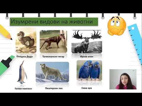 Видео: II одделение-Природни науки-Грижа за живеалиштата на животните и растенијата