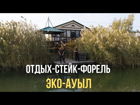 Видео: ДУШЕВНЫЙ ВЫЕЗД - 🌿 «ЭКО-ОТДЫХ с детьми: форель, стейки и бургер на природе!»