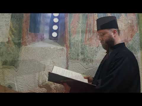 Видео: Шестопсалмије