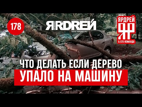 Видео: На автомобиль упало (дерево, сосулька и т.п.) - что делать? На примере Порше, Ниссан, Рено, Мицубиси