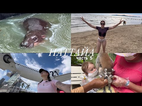 Видео: VLOG: Тайланд с Ребенком || Знаменитый Зоопарк || Терминал 21✈️