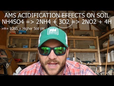 Видео: СУЛЬФАТ АММОНИЯ — ЛУЧШИЙ АЗОТ ДЛЯ ГАЗОНОВ? ВСЁ О СУЛЬФАТЕ АММОНИЯ
