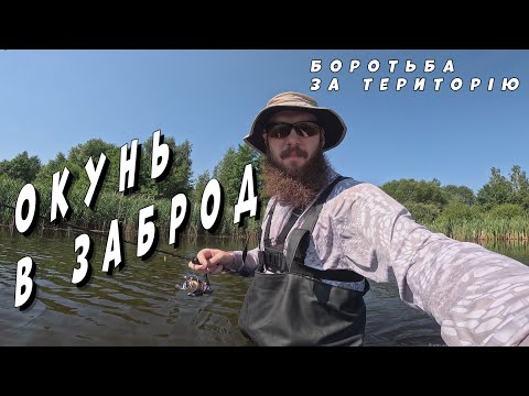 Видео: Окунь в заброд.