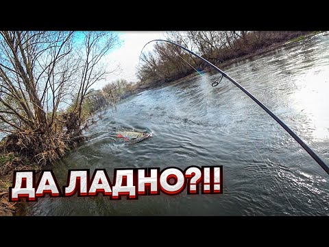 Видео: СЕКРЕТЫ рыбалки на крупного ГОЛАВЛЯ и жереха / БЕЗОТКАЗНАЯ приманка на белого