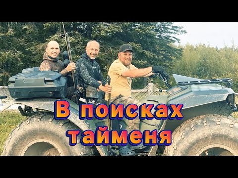 Видео: Рыбалка и подводная охота на дальнем востоке, в поисках тайменя