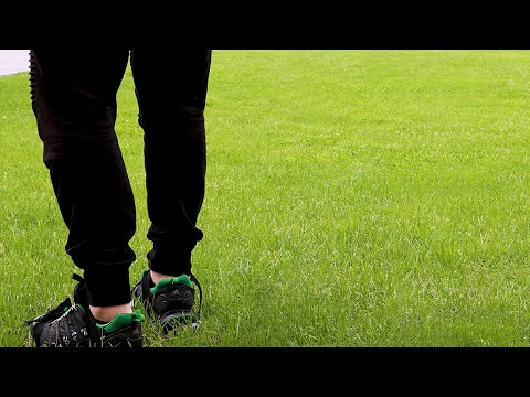 Видео: Последняя и самая важная обработка газона перед началом сезона!