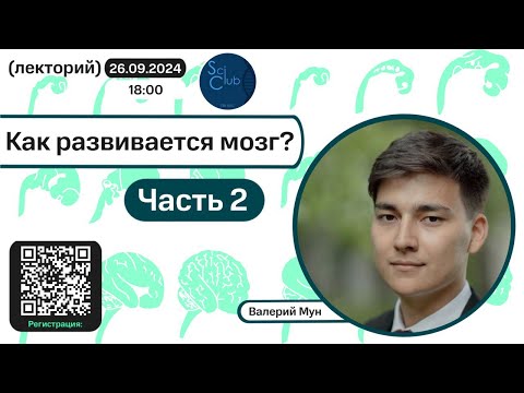 Видео: Валерий Мун. Как развивается мозг. Часть 2.