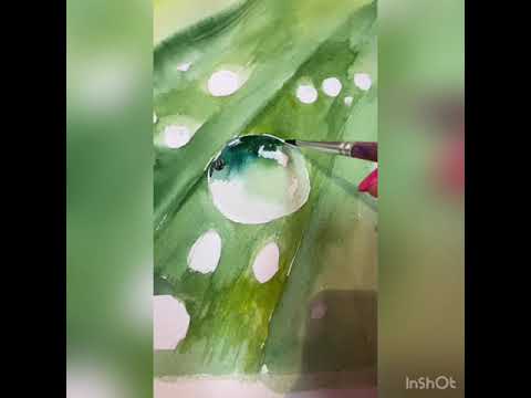 Видео: Капли 💧 росы