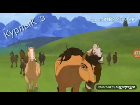 Видео: Клип на конкурс Horses Studio