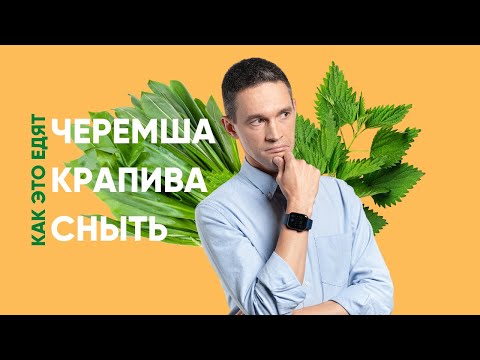 Видео: ЧЕРЕМША — что это такое и с чем ее едят | Секреты гастроботаники
