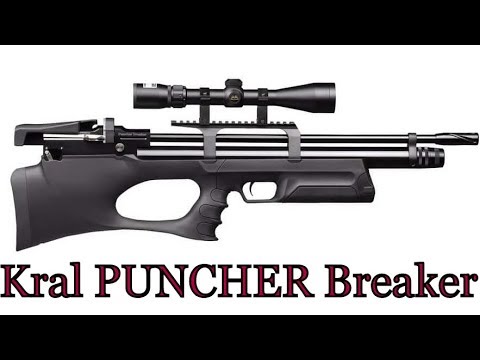 Видео: Обзор, тест пневматического ружья Kral PUNCHER Breaker 5,5 mm
