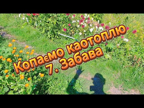 Видео: Копаємо картоплю. 7. Забава.