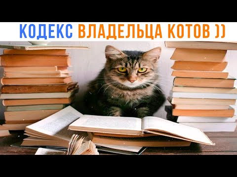 Видео: КОДЕКС ВЛАДЕЛЬЦА КОТОВ ))) Приколы | Мемозг 1664