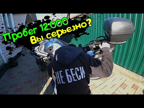 Видео: Мото Подбор#30| Осмотр и оценка Honda CBF1000 за 4.25k|Потратили день, и ради чего? Что Было Дальше?