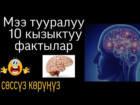 Видео: Мээ тууралуу 10 кызыктуу факт   | Талант_TV.