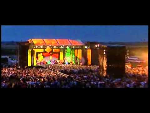 Видео: Василий Жадан, мохнатый шмель