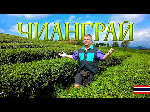 Видео: ТАИЛАНД ЧИАНГРАЙ. БЕЛЫЙ И СИНИЙ ХРАМЫ. ЧАЙНЫЕ ПЛАНТАЦИИ И ДРУГИЕ ИНТЕРЕСНЫЕ МЕСТА