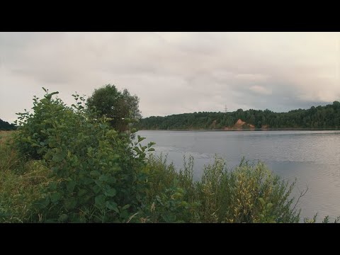 Видео: Фидер. Волга. Ловим ниже Углича. "На рыбалку с ФишПрофи. Выпуск № 1."