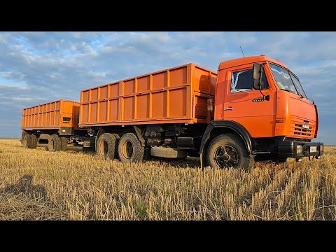 Видео: Камаз. Перевозка зерна из под комбайнов на элеватор. 