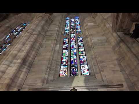 Видео: 8 ноября 2025 г.