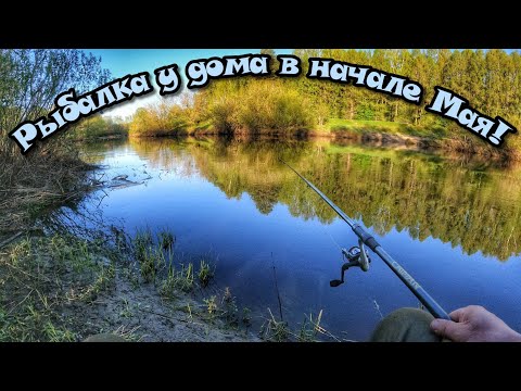 Видео: ЛОВЛЯ НА ПОПЛАВОК У БЕРЕГА!Обратка не оставила без рыбы)