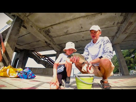 Видео: Морская рыбалка с пирса в Абхазии 2024 г.