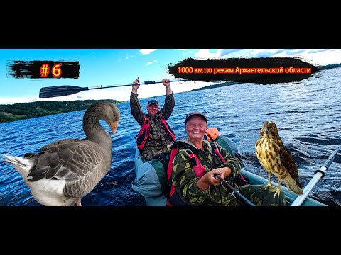 Видео: #6 Забавный гусь | Птенец сокола | Шторм в Усть-Пинеге | 1000 км по рекам Архангельской области