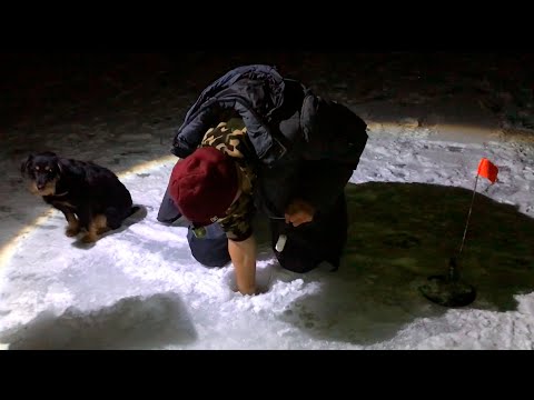 Видео: СУДАКИ НЕ ЛЕЗУТ В ЛУНКУ. ЗИМНЯЯ РЫБАЛКА НА КОСЫНКИ.