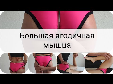 Видео: Большая ягодичная мышца. Функция. Диагностика. Терапия. Нарушение осанки. Боль в спине.