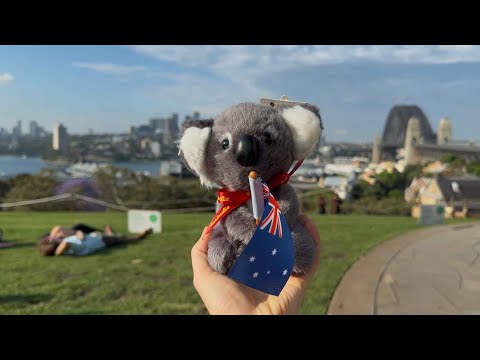 Видео: Сидней без серфинга