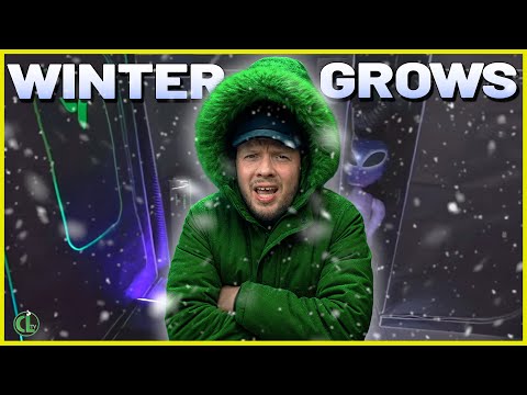 Видео: 8 ВАЖНЫХ советов, как сохранить урожайность растений зимой