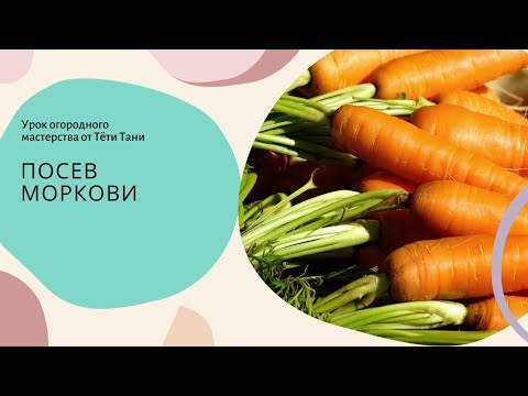 Видео: 484. Я такое про морковь знаю...не поверите...