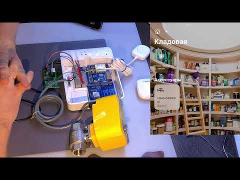 Видео: Neptun Smart+ в HomeKit