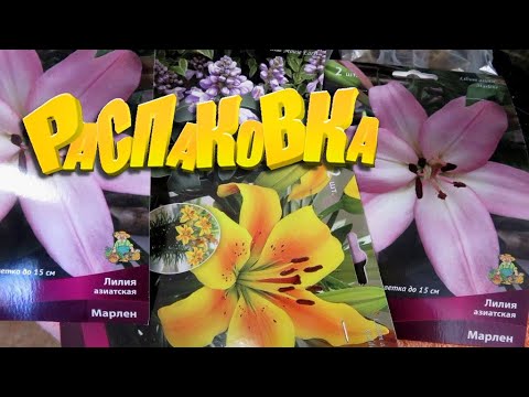 Видео: РАСПАКОВКА 🟣Wildberries 🔵OZON 🔴 ✅ 🟣 # 82 🛒покупки 👕 🛒🌷🛒 распаковка🌹 22.04.2023 ⭐shop shopping