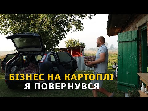 Видео: Продали картоплю. Без досвіду багато халепи.