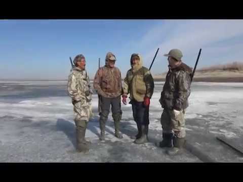 Видео: Гусиная охота. Выпуск 183. Эфир от 23.06.15