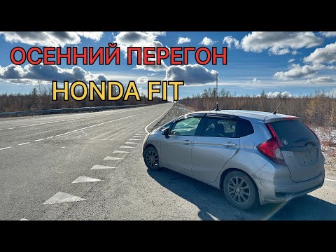 Видео: Осенний перегон Владивосток-Барнаул #hondafit