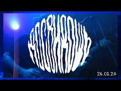 Видео: Досвидошь - Петербург Ласточка (live)